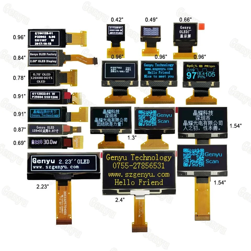 Projection Video Camera with 2 Inch Display Screen