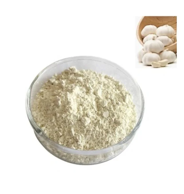 Hot Sales grau de alimento Natural orgânico Allicin Extract garlic em pó