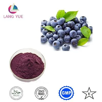 Factory Sale High Quality Natural Fruit Extracts Bilberry Fruit Powder