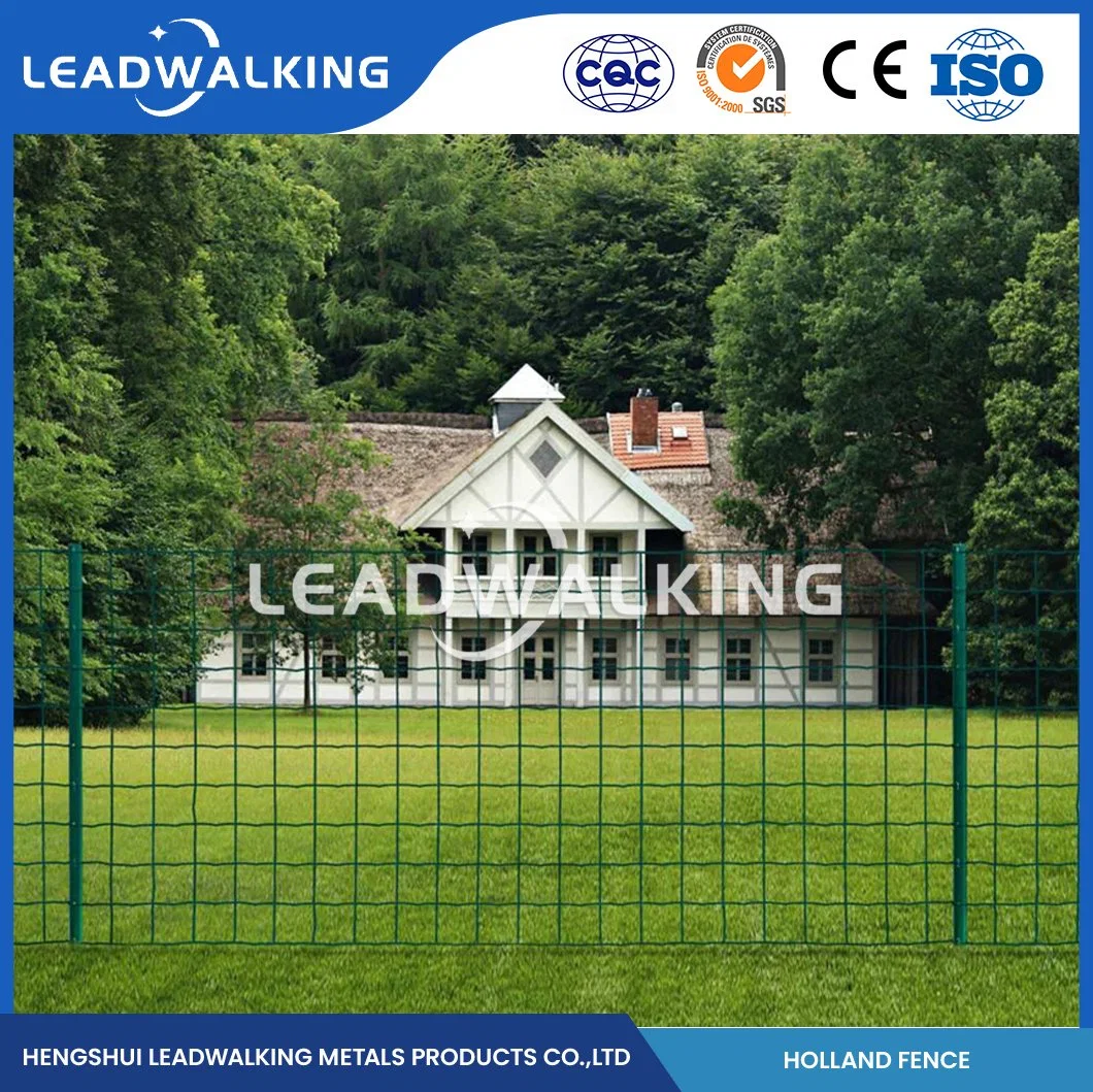 Plástico Leadwalking mallas soldadas con recubrimiento de alimentación de alta calidad de la fábrica de revestimiento de malla de alambre Powder-Coatedpvc holandés Esgrima China 2"x3 pulgadas holandesa Holanda malla de alambre