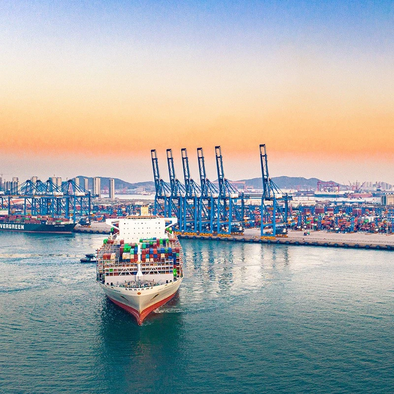 Ksd Provides International Logistics FCL Shipping for Sea Freight Forwarder Shipment Service