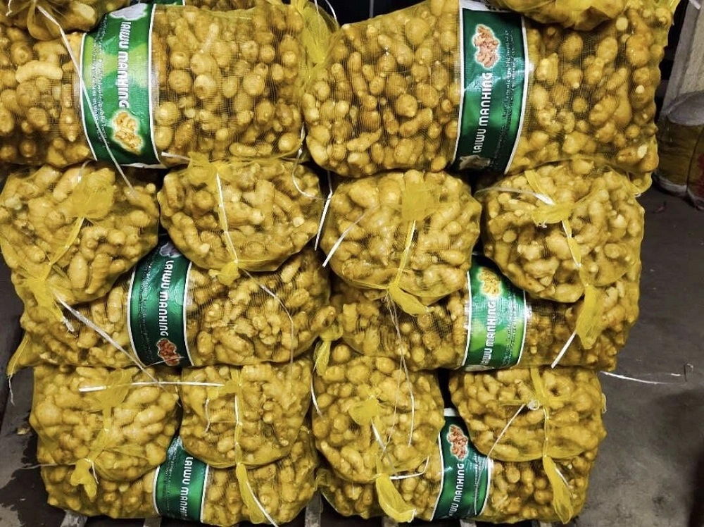 20kg Mesh Bag Packing Fresh Ginger for Exporting