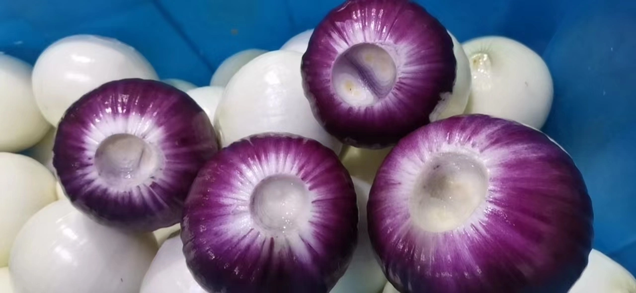 Whole Wholesale/Supplier Red Yellow White Green Skin Crop Peeled Purple Organic Frozen Fresh Vegetable Onion Price From Factory Supplier