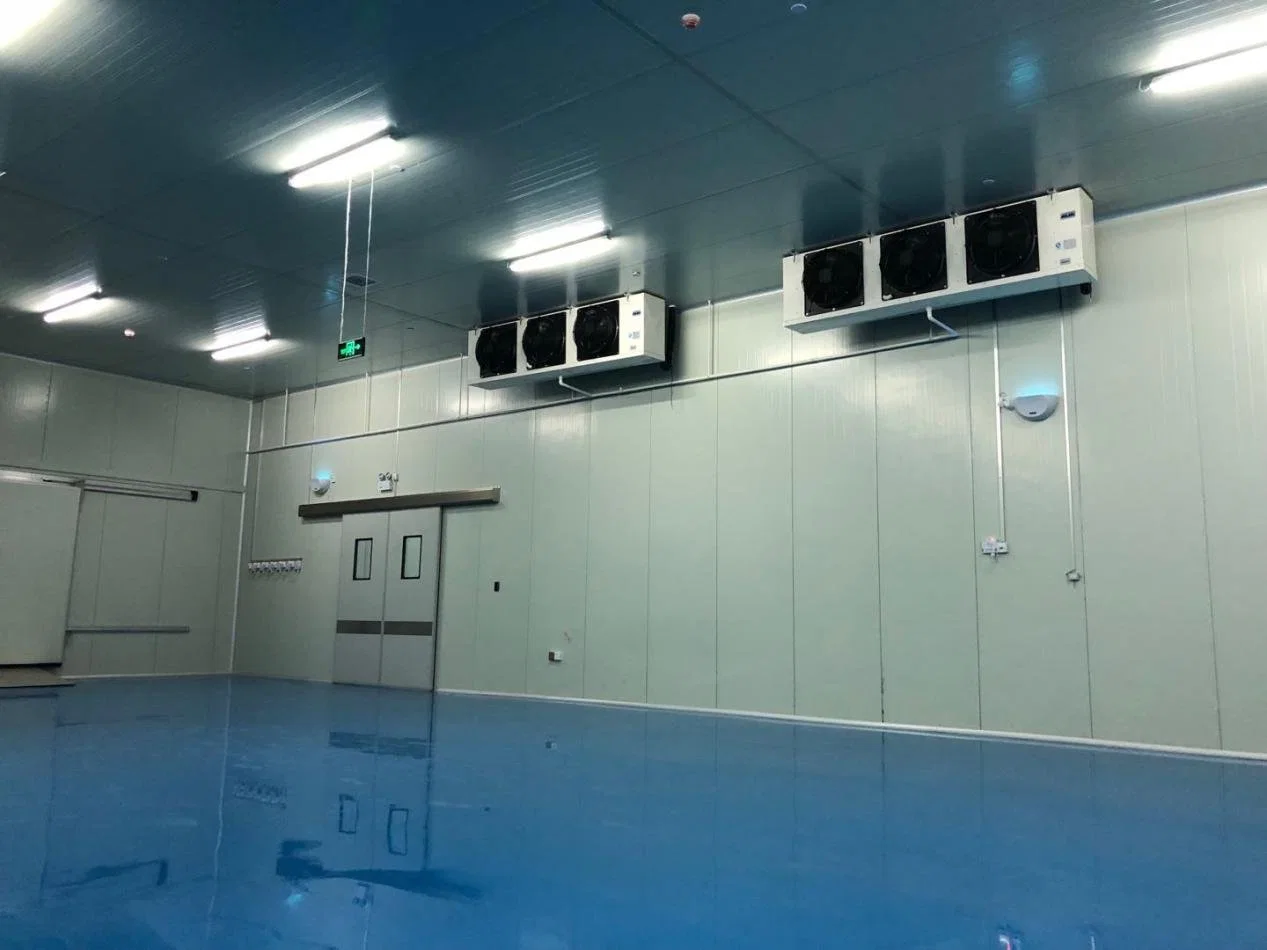 Cold Storage Construction Freezing Room Big Freezer Room Price for Frozen Food