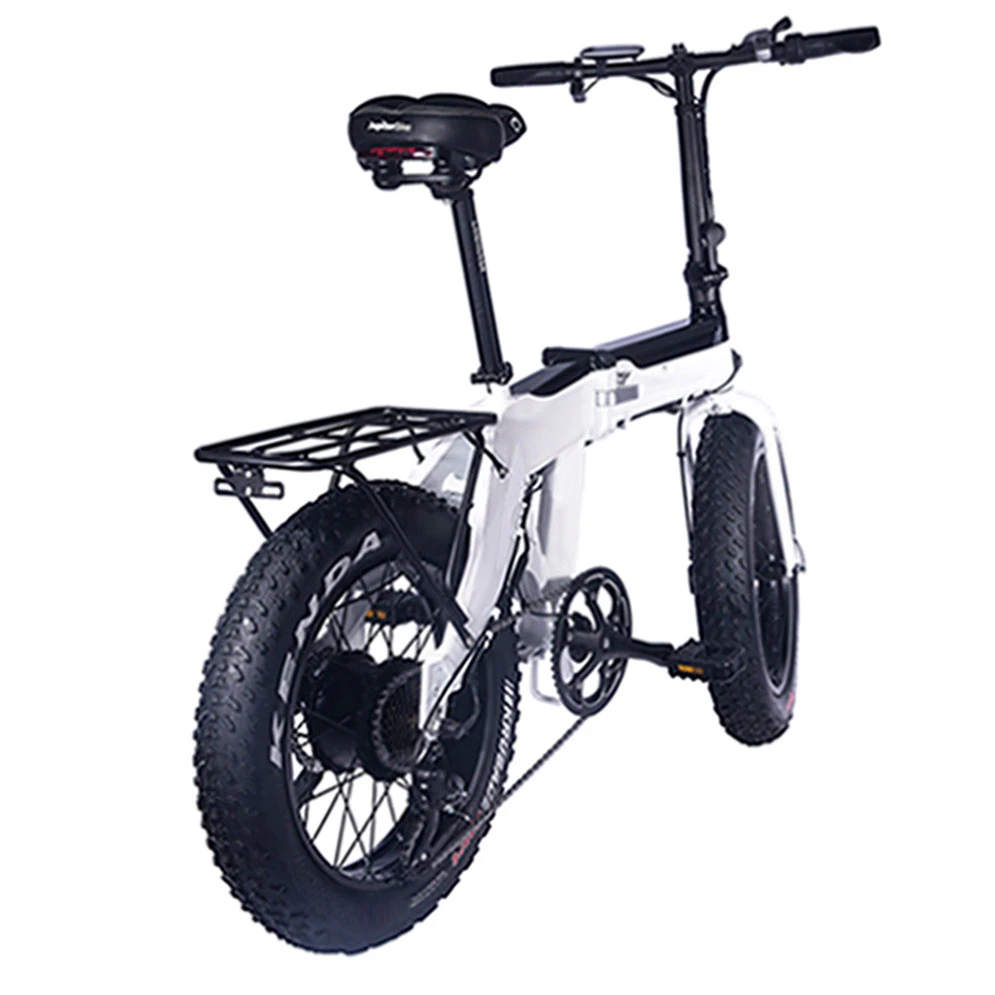 20 Inch Sandbeach Kenda Aluminium Folding New Electric Bicycle Dirt Bike ODM