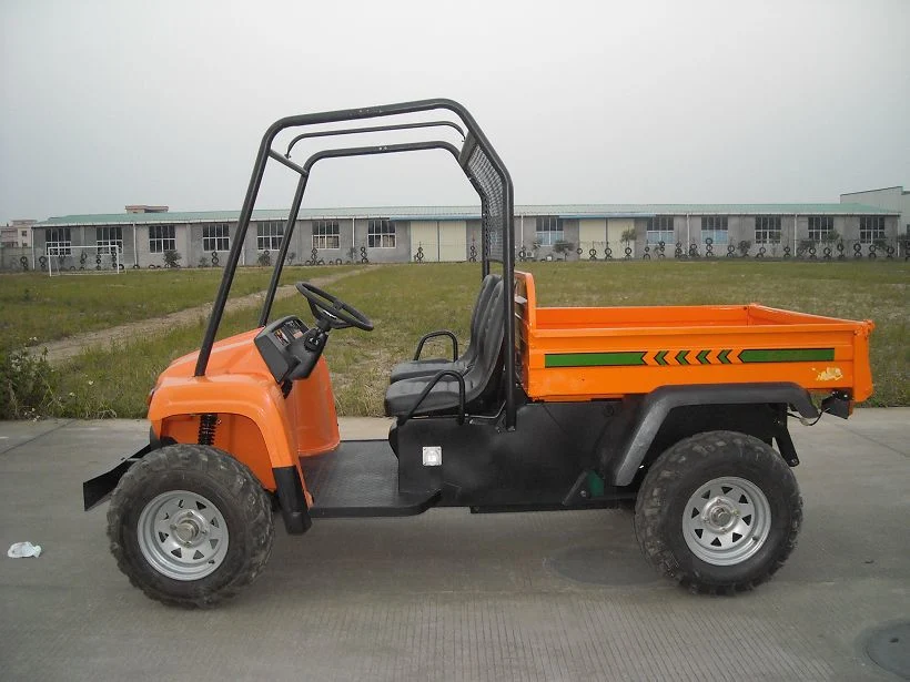 Top Speed 30km/H Golf Cart Utility Vehicles with Cargo Box