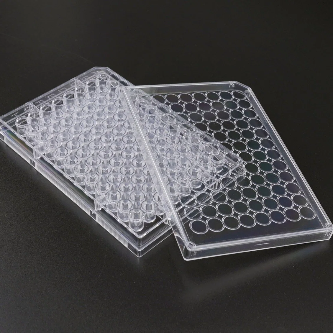 Consommables de laboratoire - plaque en polypropylène à puits profonds, transparente 24 puits