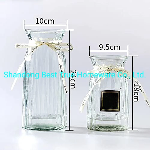 Flower Glass Vases Transparent Vases for Home Decoration and Table Decorations and Gifts