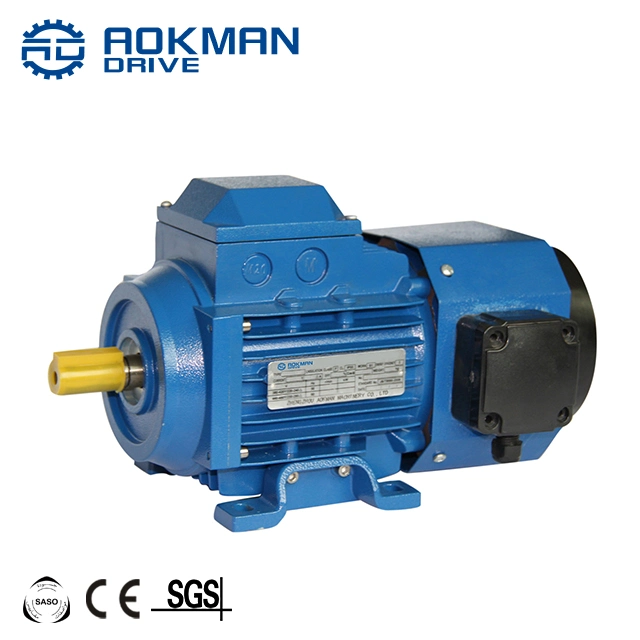 Energy Saving Yvf Small Variable Speed Frequency AC Motor