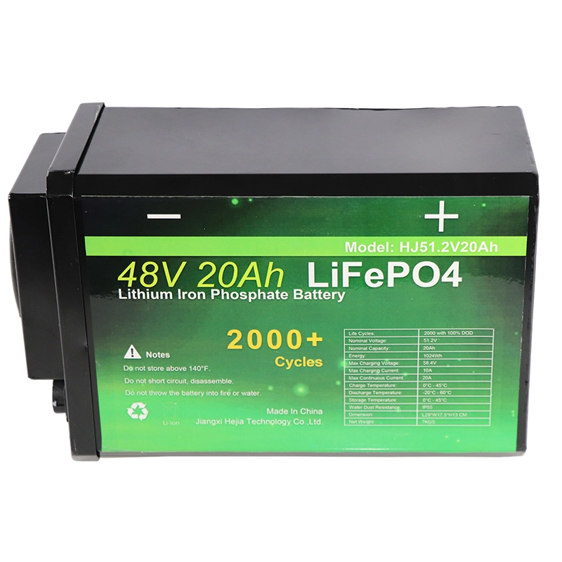 LiFePO4 Rechargeable Electric Vehicle Lithium Iron Phosphate Battery 48V