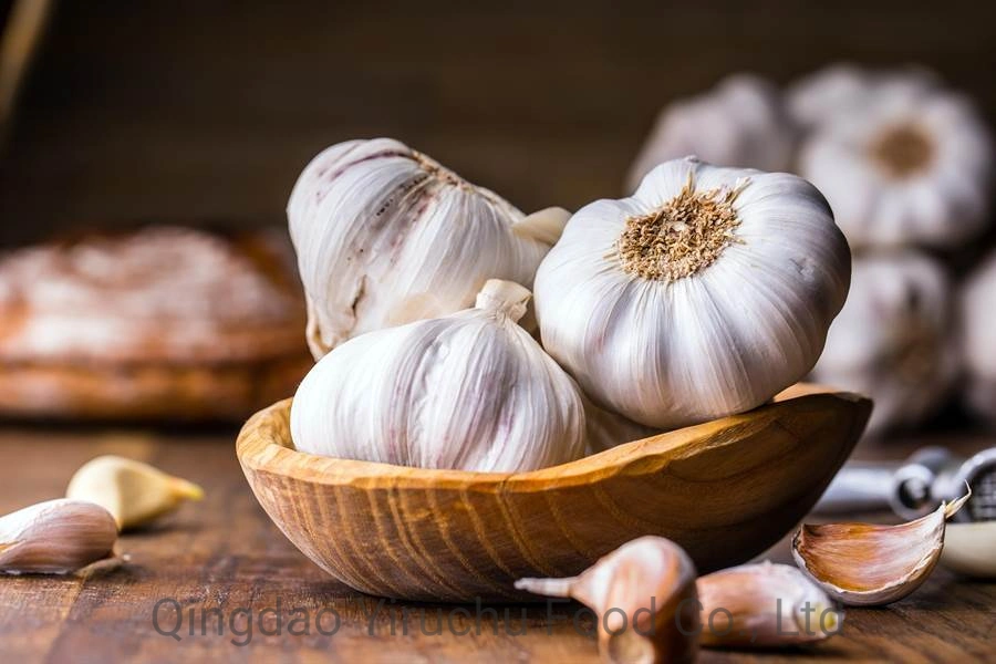 The Best Selling and Hottest Garlic at The Table in Jinxiang, China