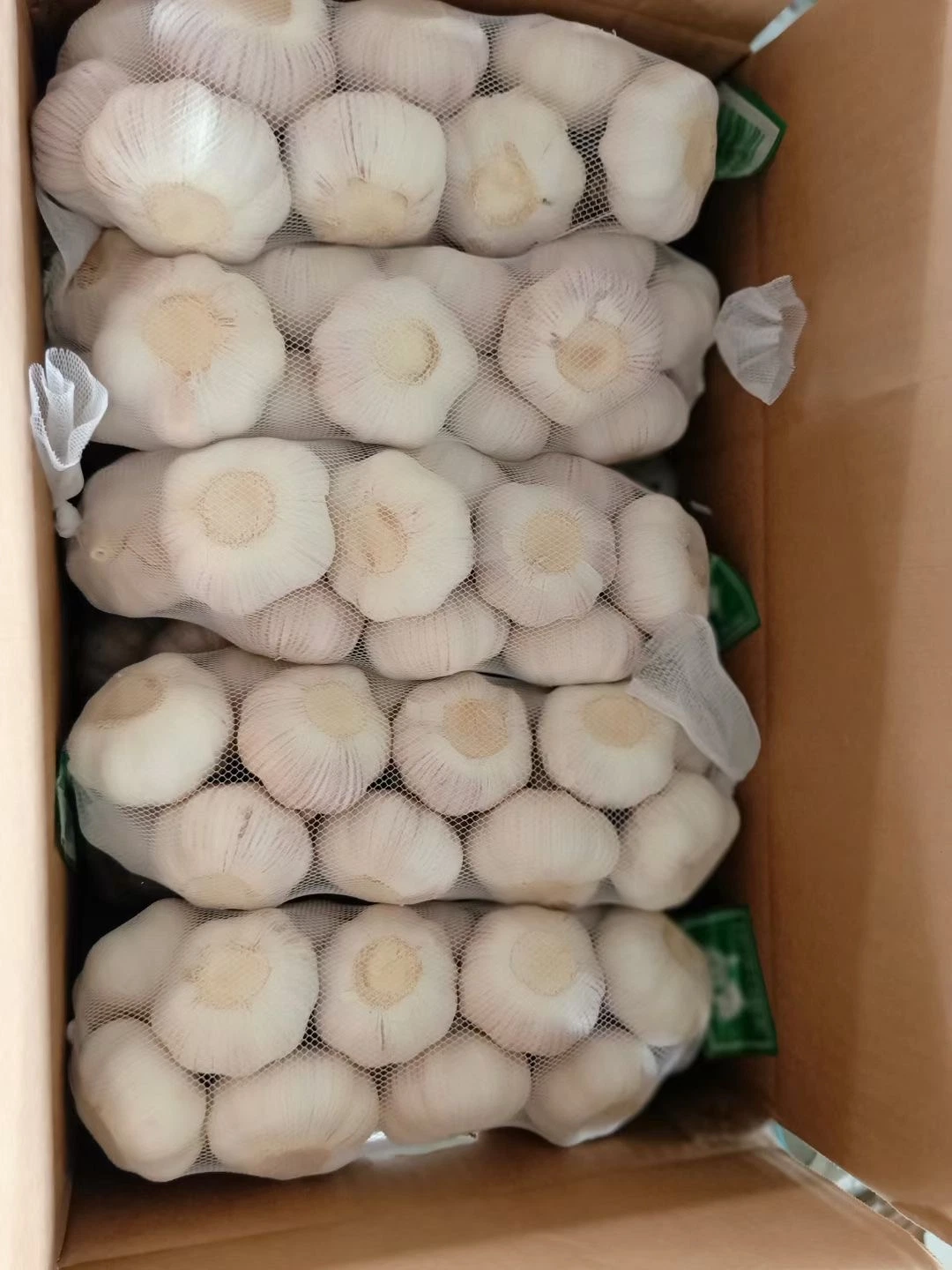 2021 New Fresh 10kg Carton Normal White Garlic