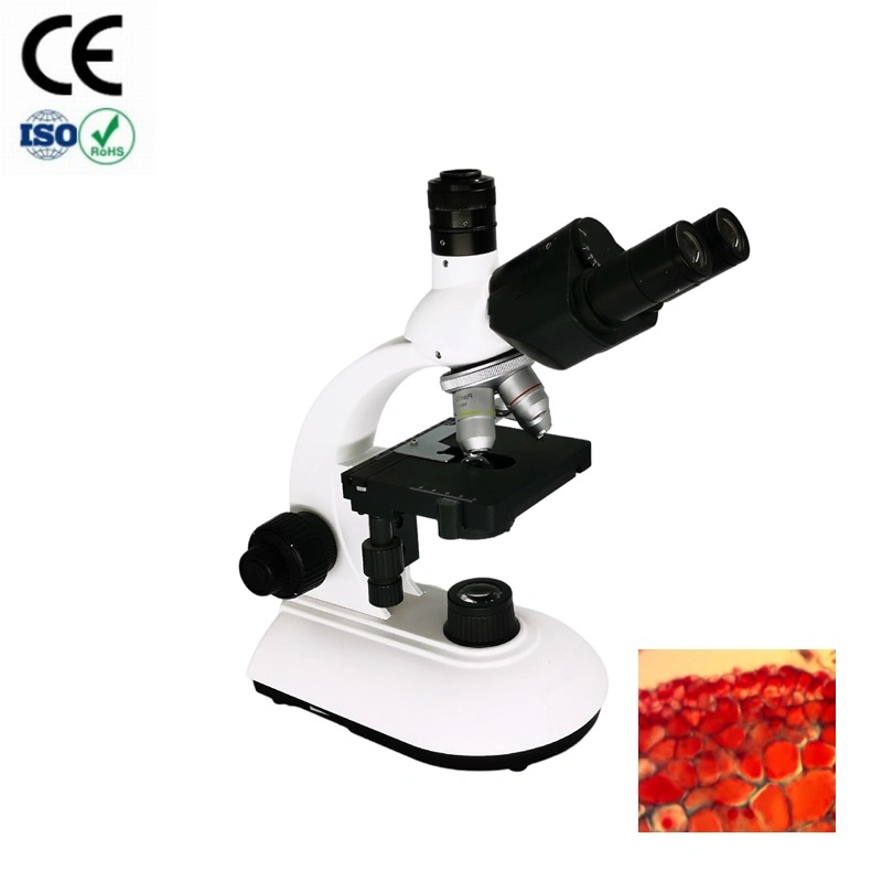 Los buenos precios Laboratorio Médico Trinocular Olympus microscopio binocular biológico