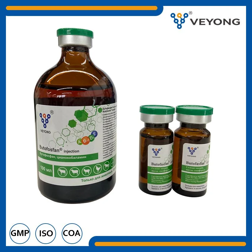 Veterinary Drugs Pharmaceutical 10% Butaphosphan Vitamin B Injection for Vet Calf