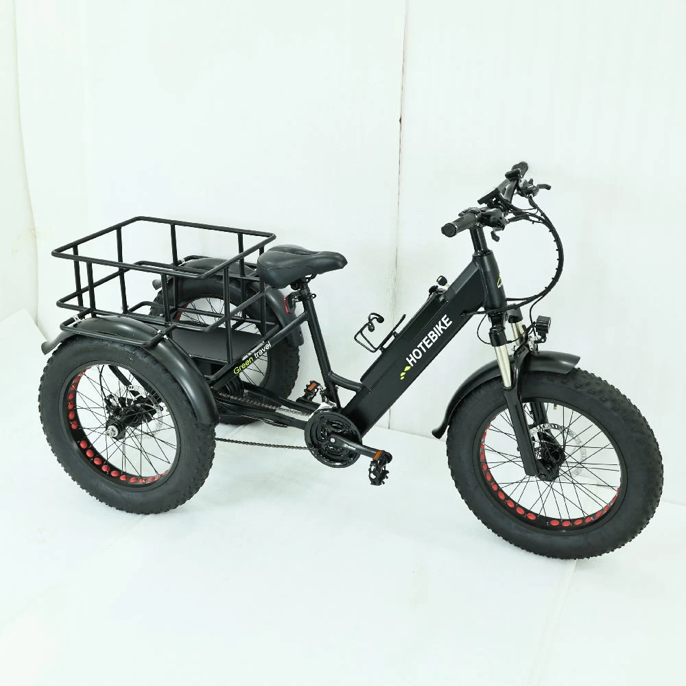 Электрический груза Trike 500Вт мотор 750 Вт 48V 24AH электрического заряда аккумулятора на инвалидных колясках коммерческие поставки