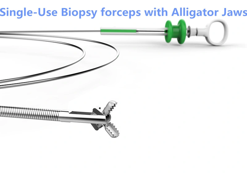 Good Disposable Biopsy Forceps Single-Use Surgical Tissue Biopsy Forceps