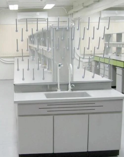 Laboratory Accessories Lab PP Pegboard, Lab Drying Rack, Lab Dripping Rack