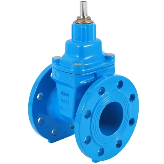 Sewage Water|Clean Water Pipe Resilient Seated Gate Valve