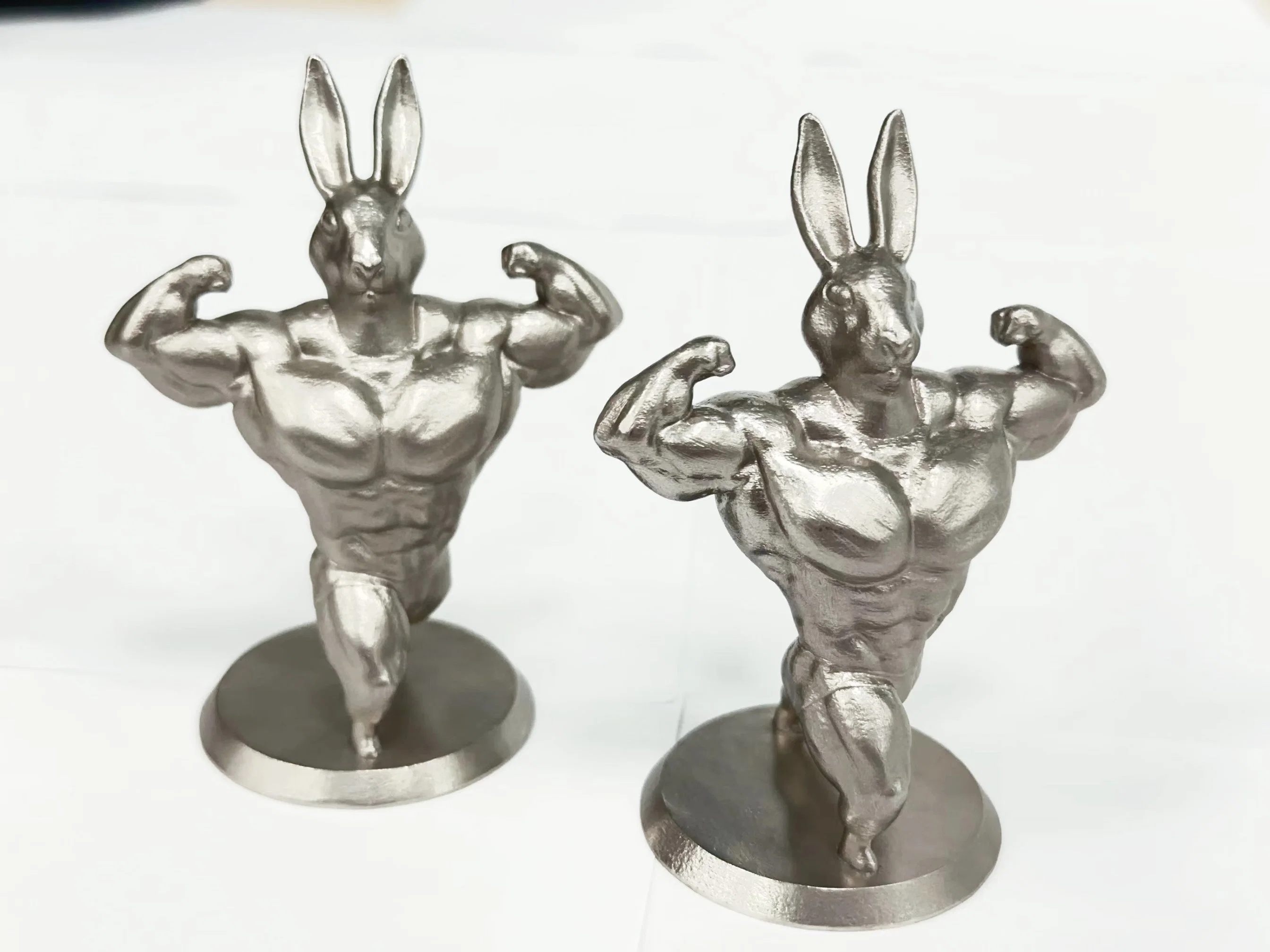 3D Printed Stainless Steel Muscle Rabbit