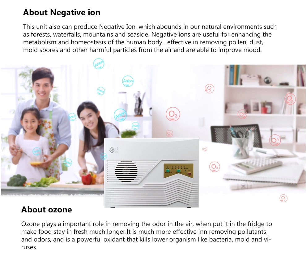 Multifunction Ozone Water Purifier Ionizer Air Cleaner for Home Use