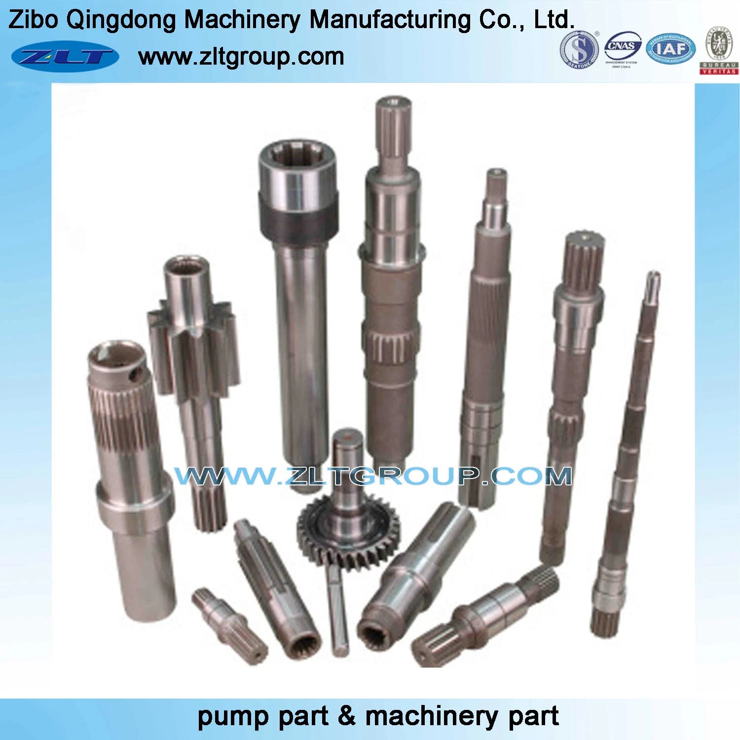 Customized OEM/ODM CNC Machining Shaft in Stainless Steel 316/CD4/304 Used in Machinery Industry