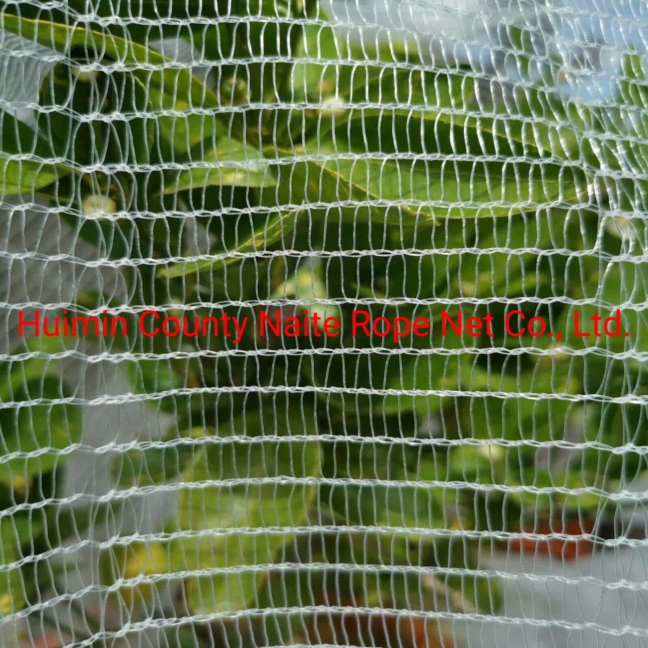 Perfect HDPE Insect Net Garden Greenhouse Fences Nets Nettings Fine Mesh Bug Mosquito Bird Net for Protecting Vegetables Flowers Fruits Trees Plants
