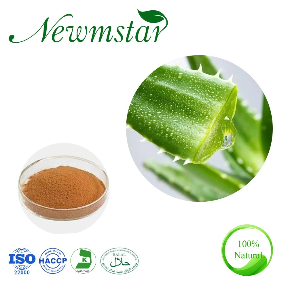 ISO22000 Factory Supply Plant Extract Aloin/Barbaloin 10%, 20%, 40%, 60%, 90%, 95% Aloe Vera Leaf Extract Aloe Vera Extract