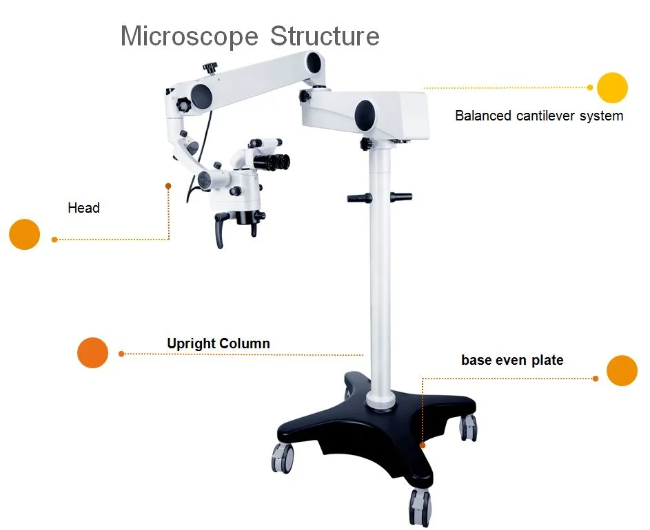 Ms-D500 Ent dentaire Microscope de fonctionnement