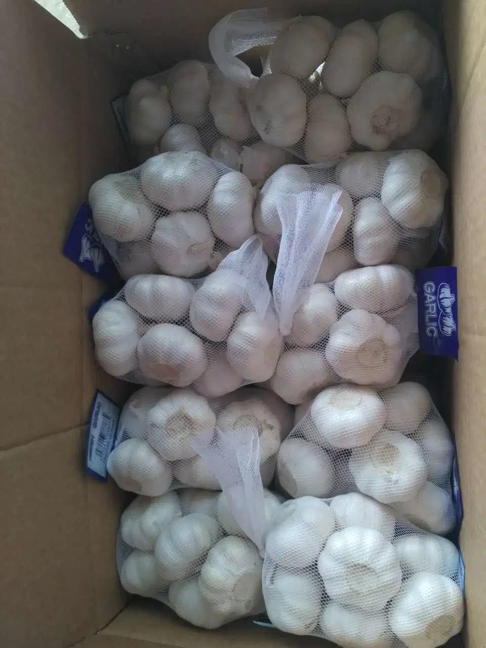 New Crop China White Garlic in Small Package