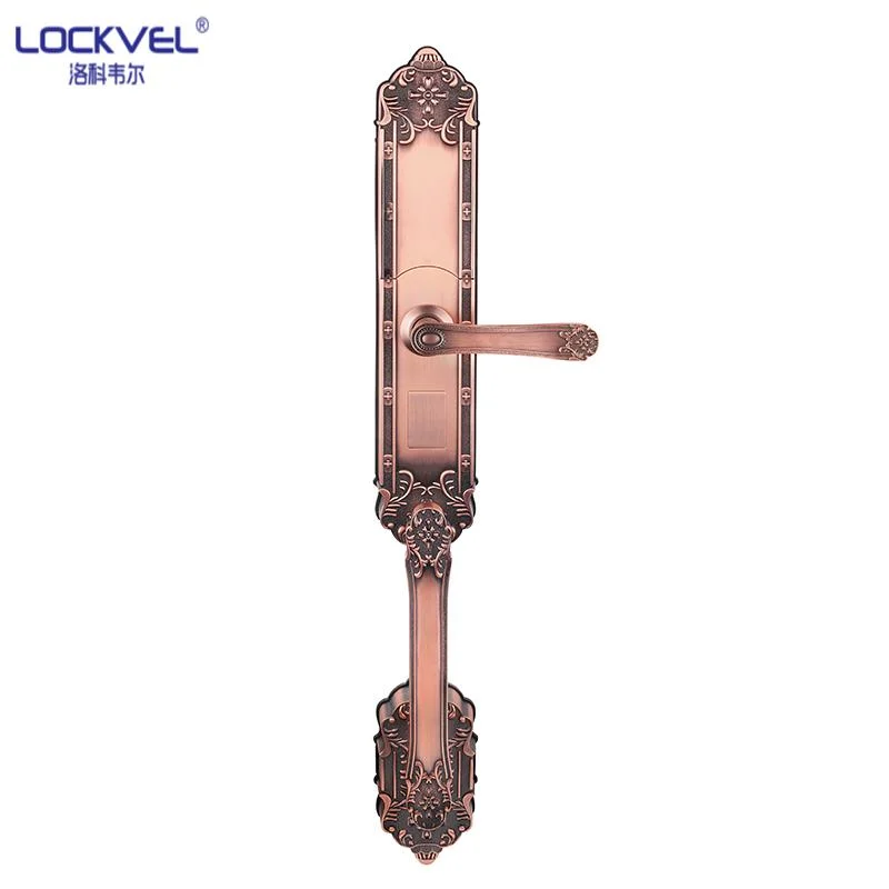 Luxury Smart Door Lock/Entrance Digital Handle Smart Fingerprint Electric Door Electronic Lock