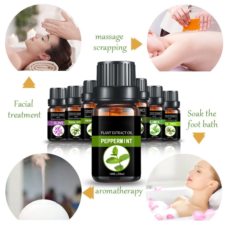 Wholesale/Supplier Peppermint Essential Oil Manufacturer and Exporter