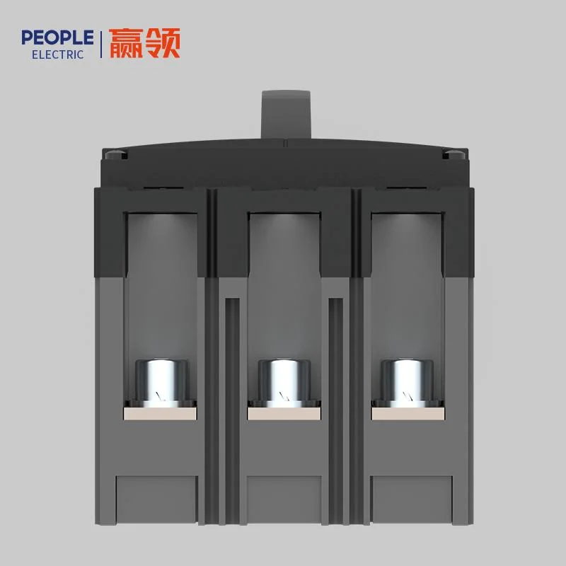 People Rdm5 10-1250A 400/690V 2p/3p/4p AC Mouded Case Circuit Breaker DC Low Voltage MCCB