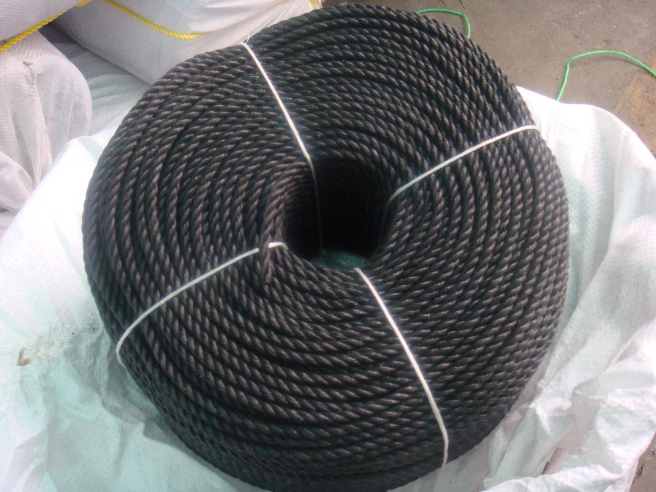 Plastic Polyester Polyamide Nylon Ropes for Fishing and Mooring 3/4/8/12 Strand Marine Polypropylene PP/PE Danline Plastic Rope Factory China