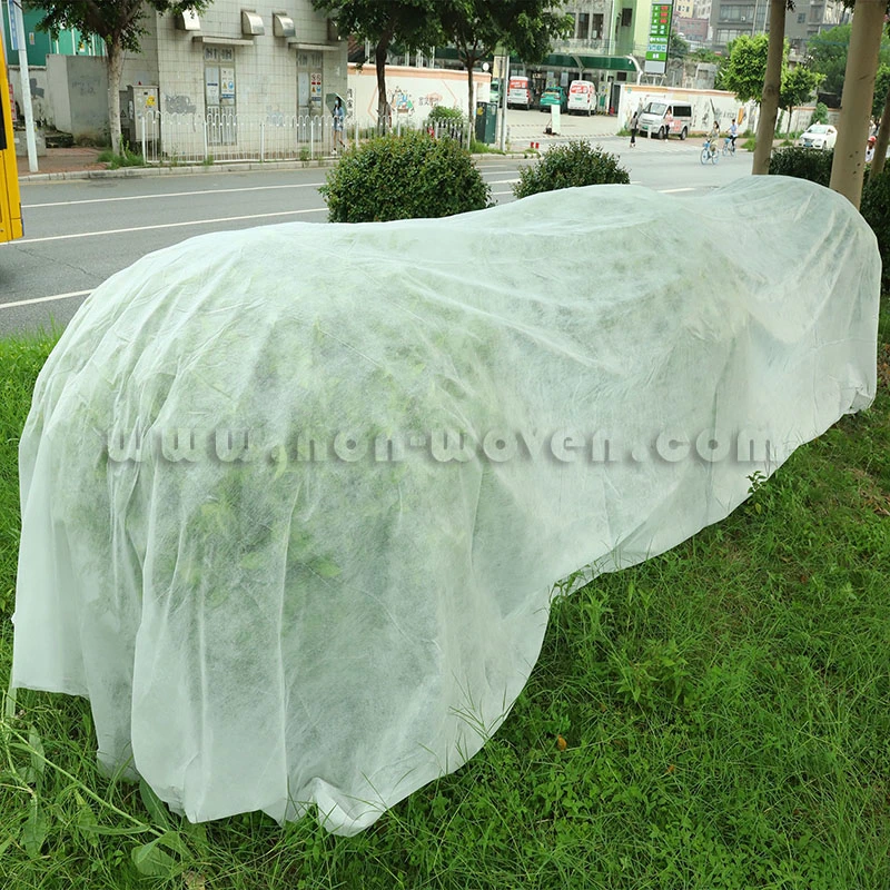 La agricultura cultivo Nonwoven personalizada de la planta cubierta de tejido de protección contra congelamiento de compensación de los insectos