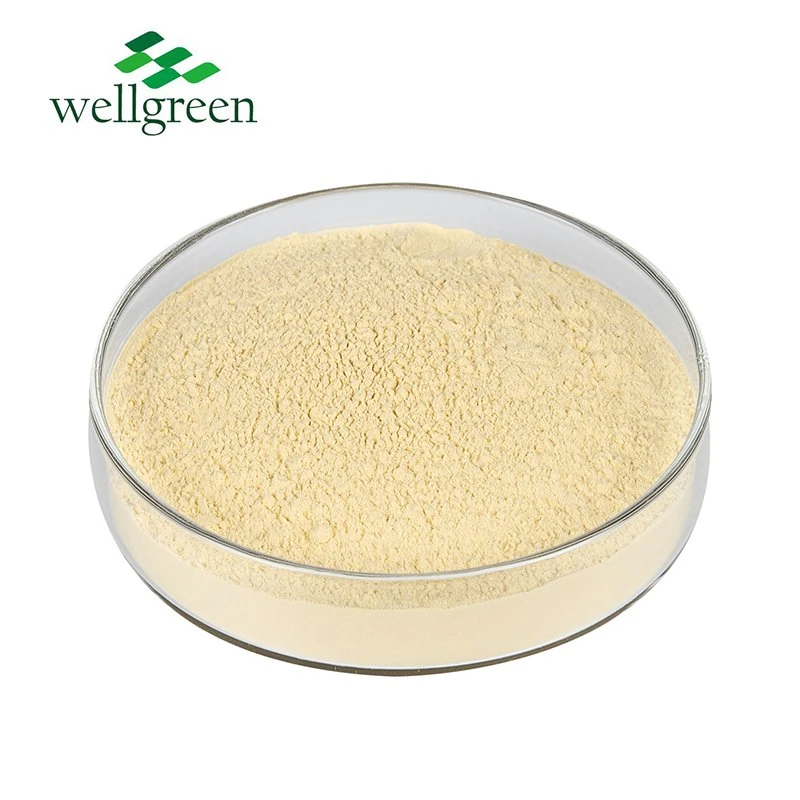 Gingerol Líquido Raiz Preta 6-Óleo Gingerol Chinês branco 90% 10: 1 Extrato de pó de gengibre