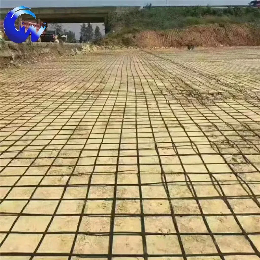 Geosynthetic Products Manufacturer Steel Plastic Geogrid for Reinforcement of Soft Foundations