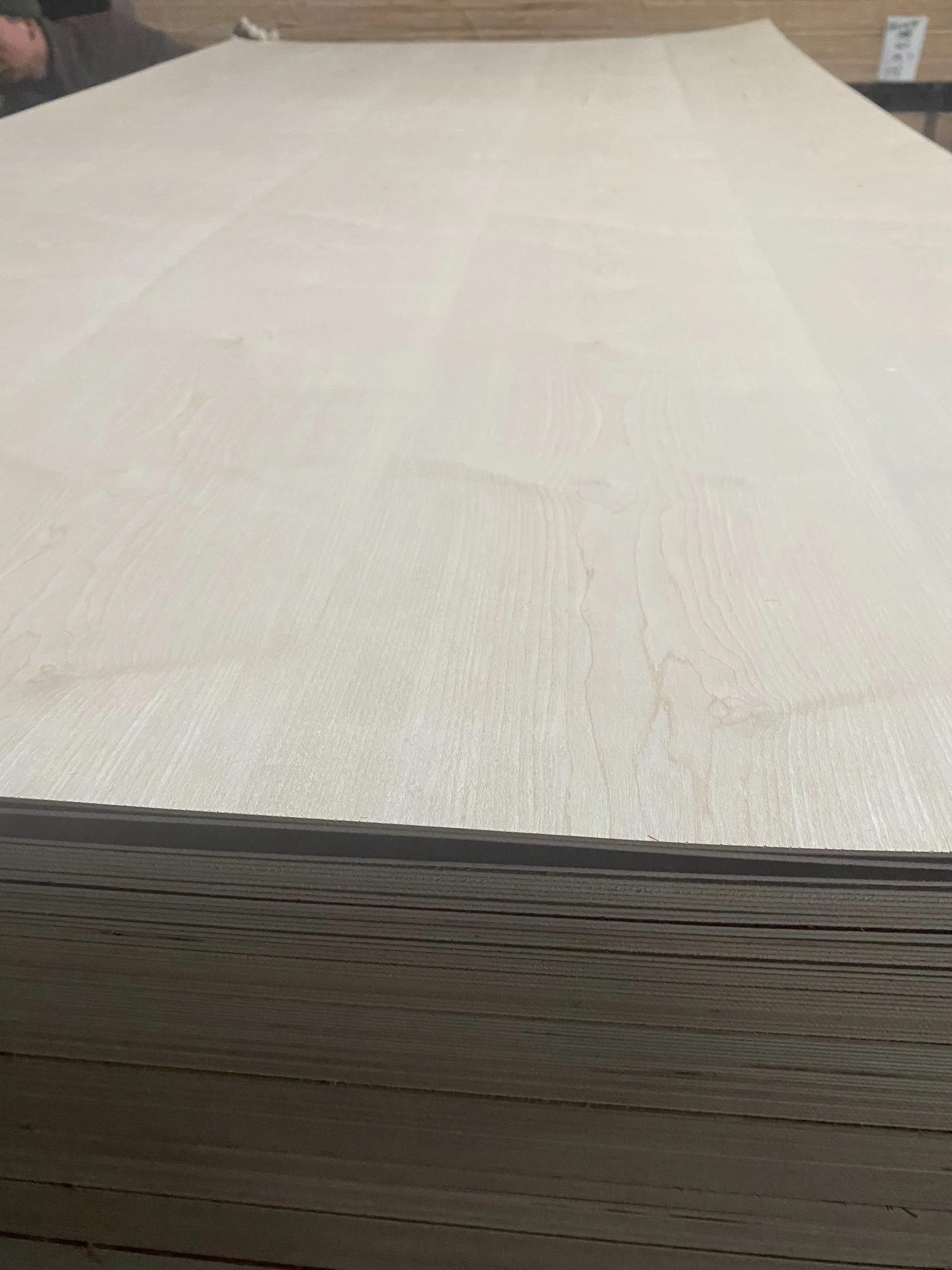 Customized Products Baltic Birch Plywood Laminated Marine 18mm Plywood Melamine Laminated Plywood Wood