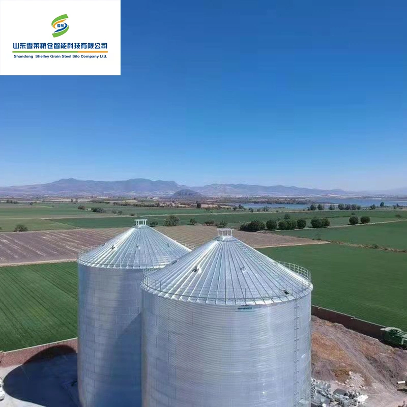 Acero galvanizado corrugado Asamblea Popular de fondo plano de personalizables de grano Silos