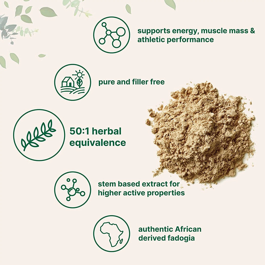 High Quality 100% Natural Fadogia Extract Fadogia Agrestis Scm Powder Fadogia Agrestis استخراج