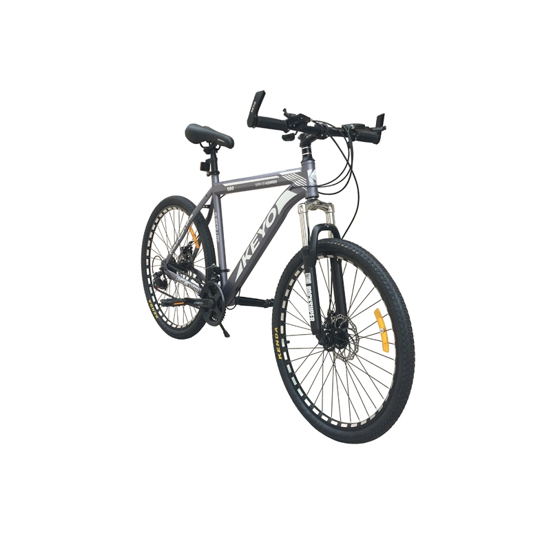High Quality China Manufacture Export Aluminum Alloy Frame Mountain Bike