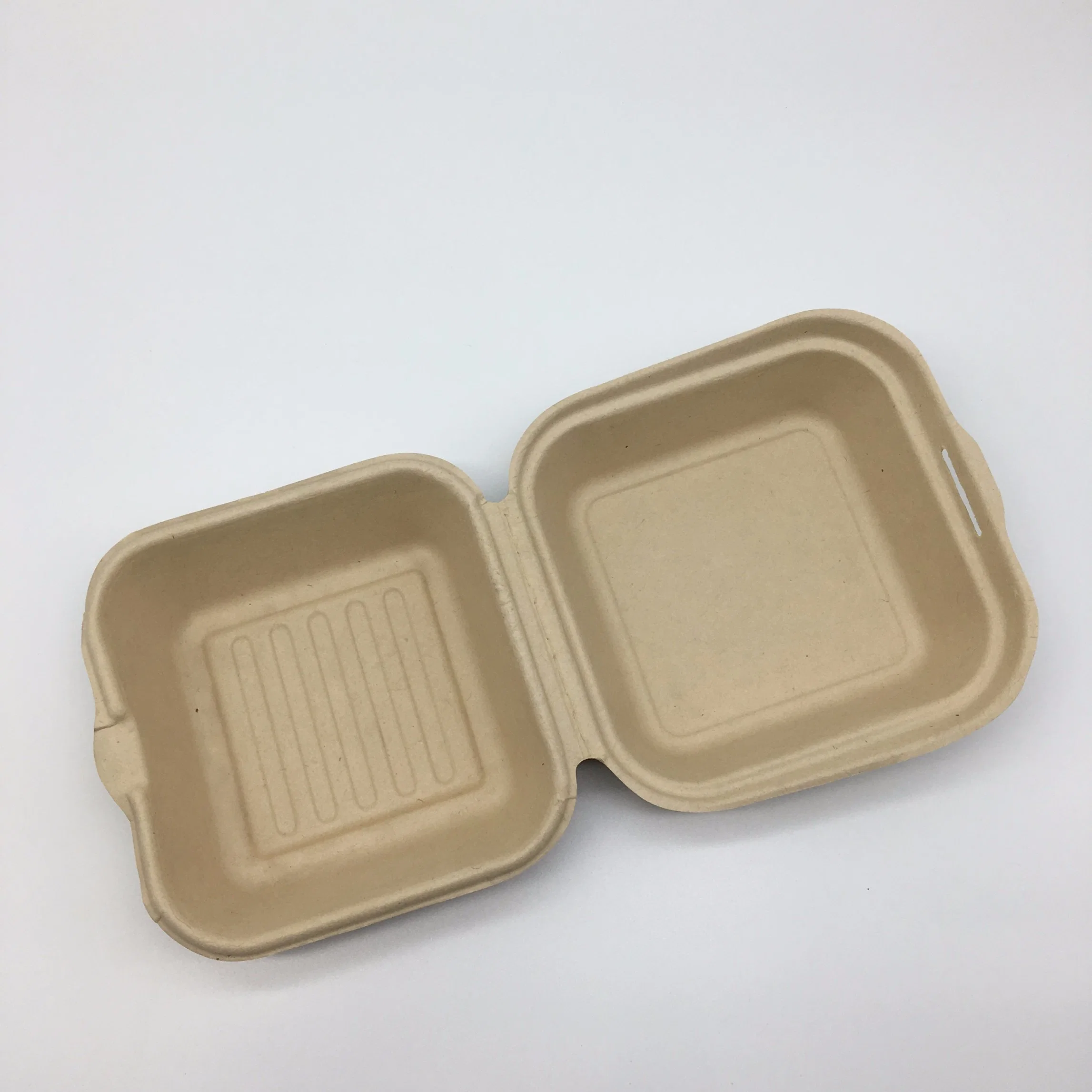 Einweg Biologisch Abbaubare Zuckerrohr Bagasse Zellstoff Papier Lebensmittel Verpackung Container Box