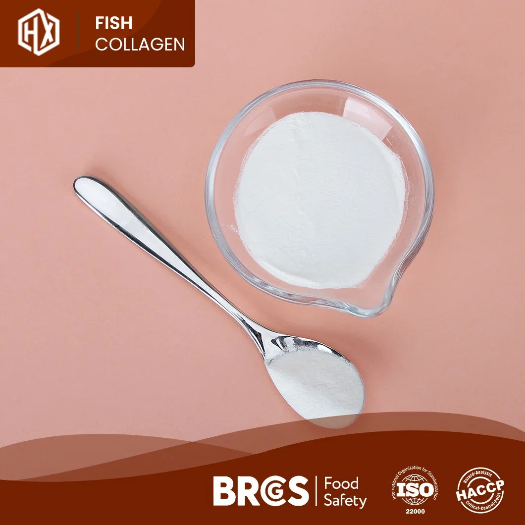 Haoxiang OEM Custom Tilapia Scales Collagen Peptides Drink Skin Whitening Hydrolyzed Marine Collagen Oral Liquid White or Pale Yellow Premium Protein Powder