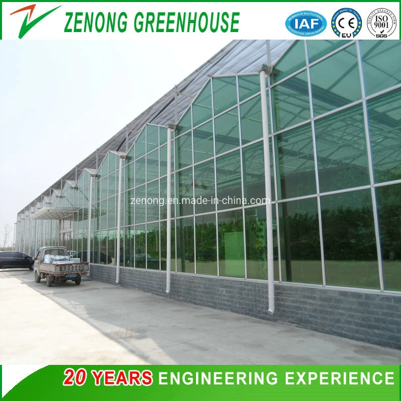 Hot DIP Galvanized Steel Frame Multi-Span Glass Film PC Board Greenhouse for Vegetable Sightseeing