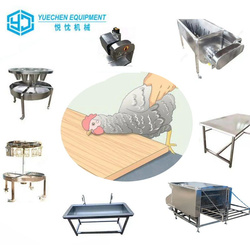 Small Scale Automatic Chicken Slaughter Evisceration Machine Feather Scalding Plucking Machinery