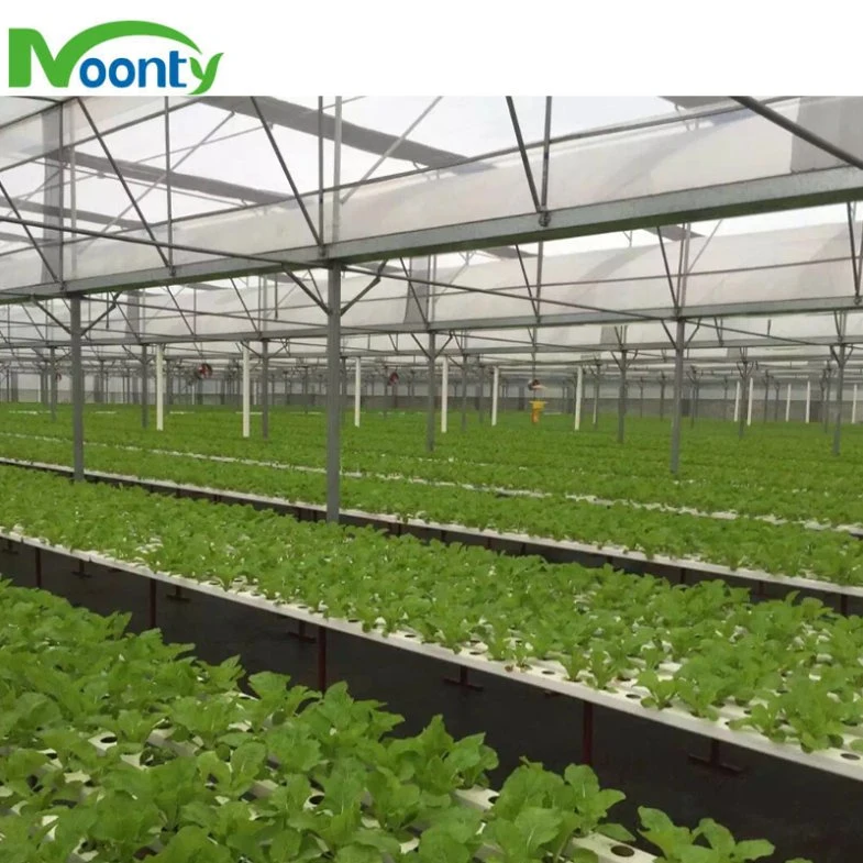 Вертикальный Nft гидропонное огородничество развиваться система дешевые коммерческих Nft канал растущей системы с помощью системы орошения для овощей Lecturre огурец клубничный