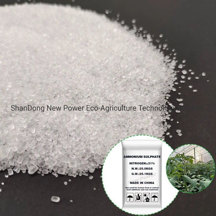 Amonium Sulfate Granular Fertilizer Ammonium Sulphate in Caprolactam Grade