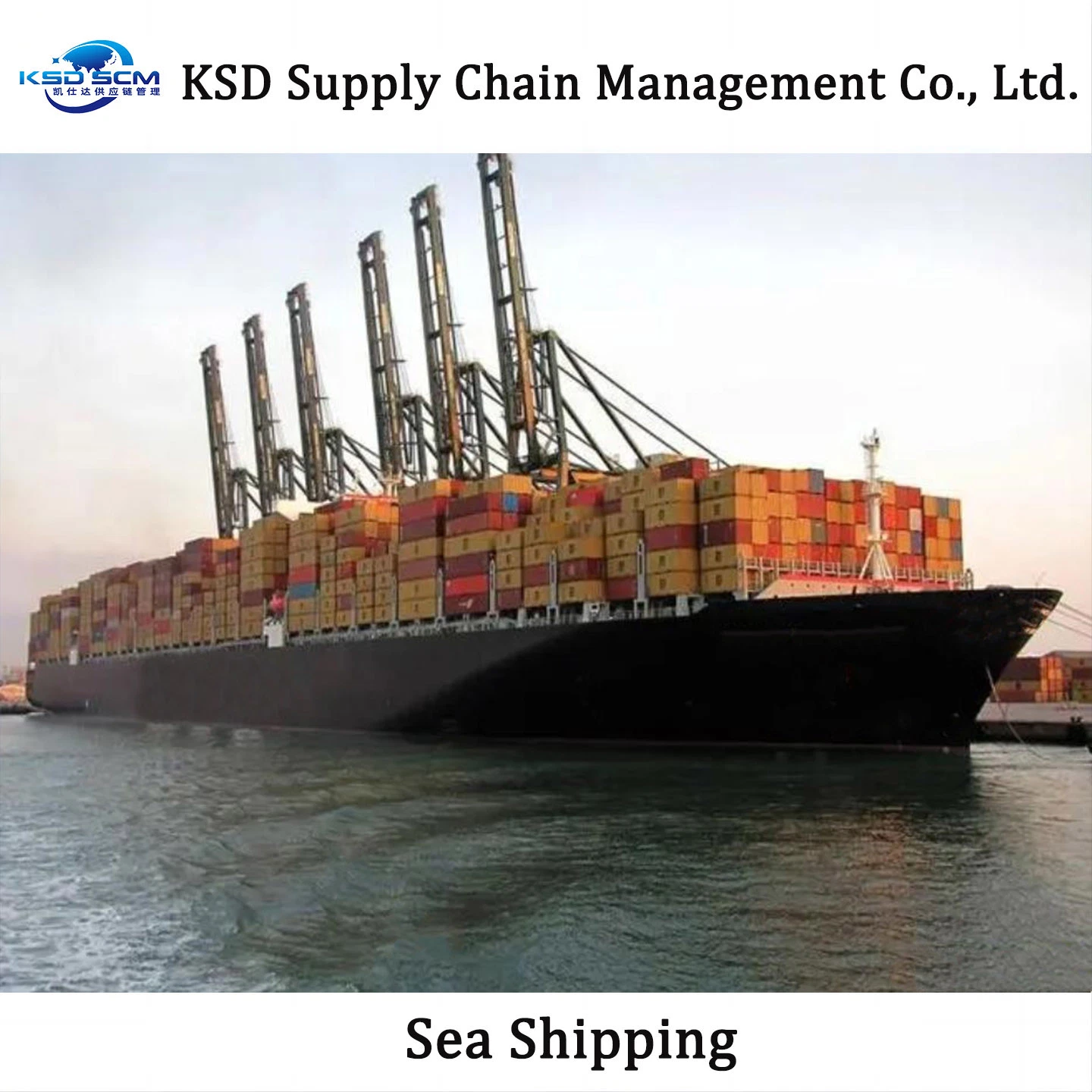 Qingdao Shipping Agent Sea Shipping Sea Cargo Freight Ship From China to Indian