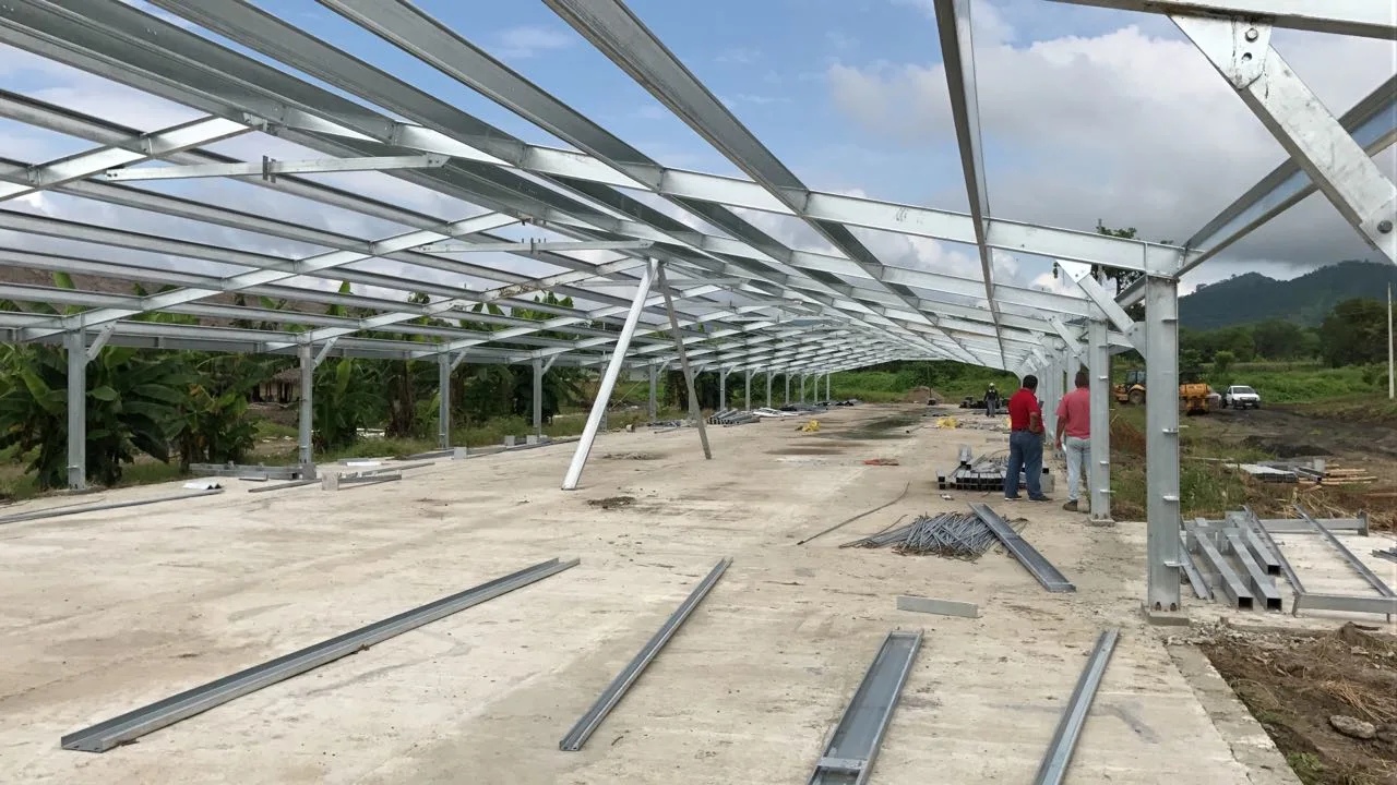 Estructura de acero económica prefabricada Turnkey aves de corral de equipos para la casa de Breeder Pollo