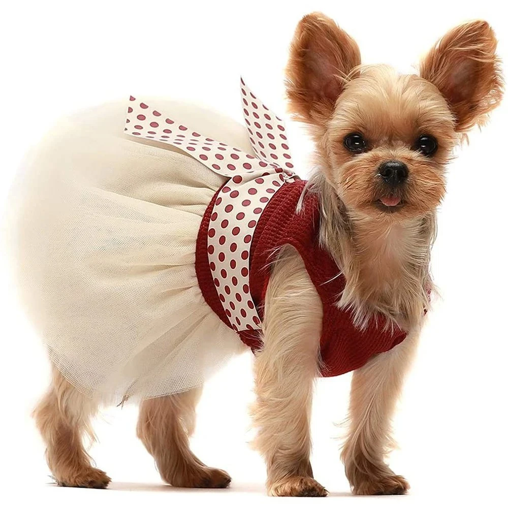 Fashion Lace Dotted Cute Pet Clothing Small and Medium Dog Princess Dress Dog Clothes