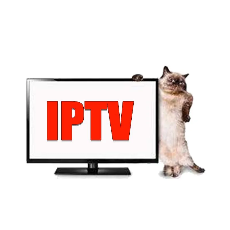 Shark IPTV Reseller Panel M3u List Xxx Free Test TV Box IPTV Subscription